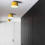 Потолочный точечный светильник DAG Mod.D D36 H28 от ImperiumLoft