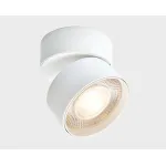 Светильник потолочный влагозащищенный IT02-011 white 3000K от ImperiumLoft