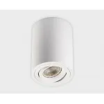 Светильник потолочный поворотный M02-85115 white от ImperiumLoft
