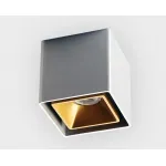 Светильник потолочный FASHION FX1 alu + FASHION FXR gold