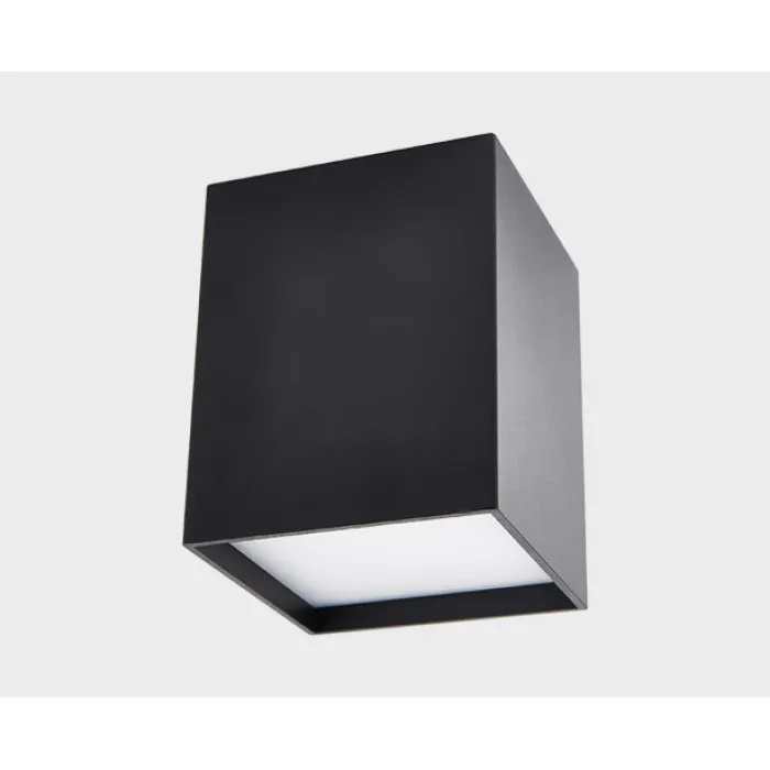 Светильник потолочный DL 3028 black 3000K от ImperiumLoft
