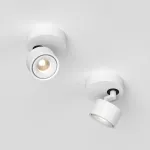 Потолочный поворотный светодиодный светильник LeDron SAGITONY SAGITONY R1 S75 White от ImperiumLoft