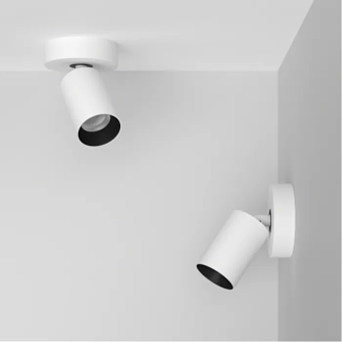 Потолочный поворотный светодиодный светильник LeDron SAGITONY SAGITONY R1 S60 Dim W-Bl от ImperiumLoft