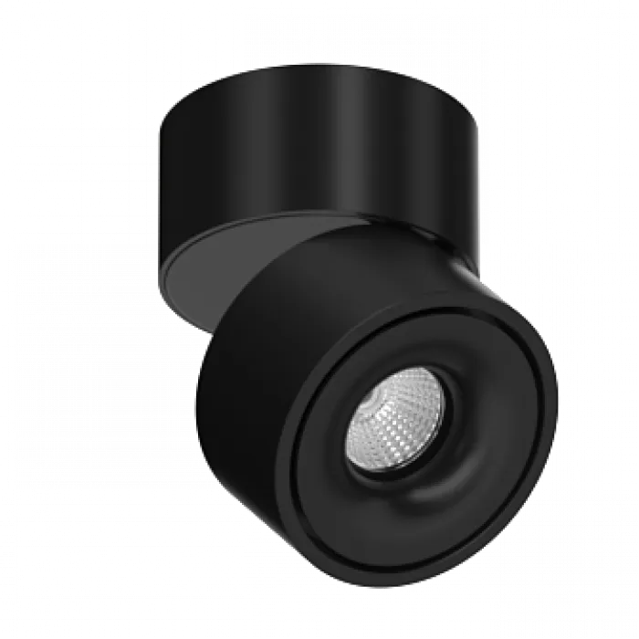 Потолочный поворотный светодиодный светильник LeDron LH13W LH13W Black 4000K от ImperiumLoft