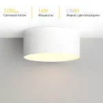 Потолочный светодиодный светильник LeDron LXS0812-16W LXS0812-16W 4000K Triac Dim