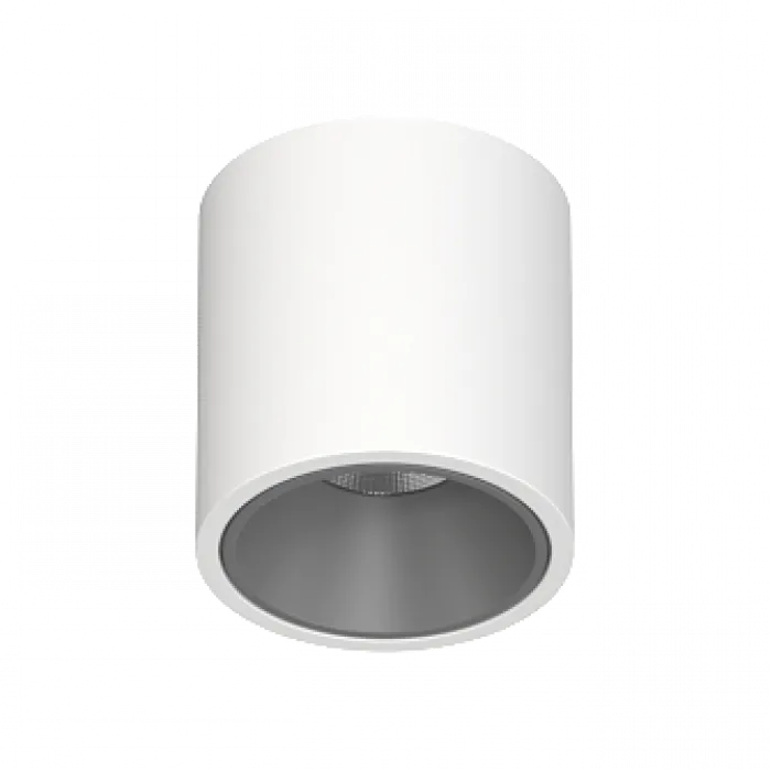 Потолочный светодиодный светильник LeDron RINBOK RINBOK White-Grey TRIAC 4000K от ImperiumLoft