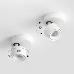 Потолочный поворотный светодиодный светильник LeDron SAGITONY SAGITONY R1 S75 White от ImperiumLoft