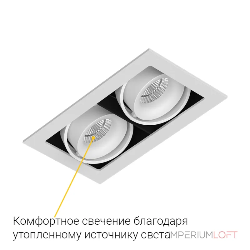 Встраиваемый поворотный светодиодный светильник LeDron ON-202-9W WH-BK