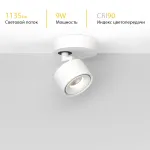 Потолочный поворотный светодиодный светильник LeDron SAGITONY SAGITONY R1 S75 White от ImperiumLoft