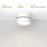 Потолочный светодиодный светильник LeDron BARREL MINI BARREL MINI White TRIAC от ImperiumLoft
