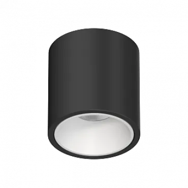 Потолочный светодиодный светильник LeDron RINBOK RINBOK Black-White TRIAC