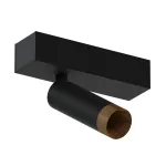 Потолочный светодиодный светильник LeDron SAGITONY SAGITONY E S40 Wooden Black