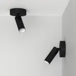 Потолочный поворотный светодиодный светильник LeDron SAGITONY SAGITONY R1 S40 Dim B-Wh от ImperiumLoft