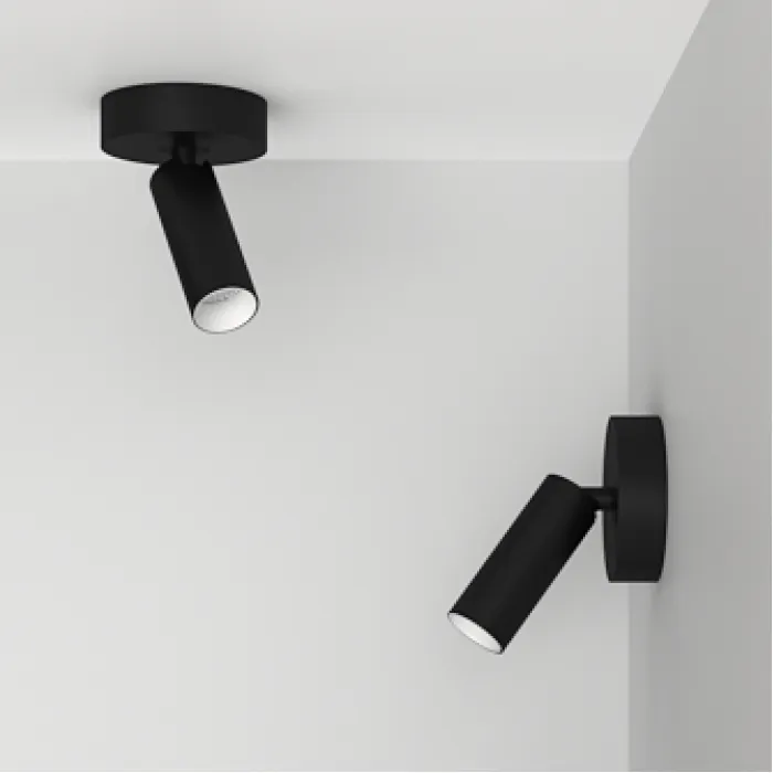 Потолочный поворотный светодиодный светильник LeDron SAGITONY SAGITONY R1 S40 Dim B-Wh от ImperiumLoft