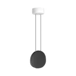 Подвесной светильник LeDron 9203 9203P/1B Black
