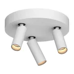 Потолочный поворотный светодиодный светильник LeDron SAGITONY SAGITONY R3 S40 Dim W-Bl от ImperiumLoft