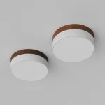 Потолочный светодиодный светильник LeDron DLC73029 DLC73029/30W Wooden 4000K