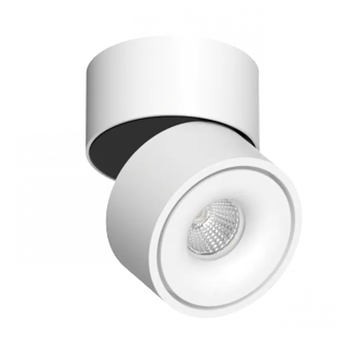 Потолочный поворотный светодиодный светильник LeDron LH13W LH13W White 4000K от ImperiumLoft