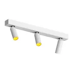 Потолочный поворотный светодиодный светильник LeDron SAGITONY SAGITONY E3 S40 W-Gl