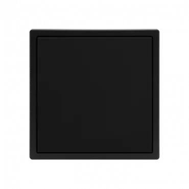 Заглушка для рамок LeDron Blank Panel Black Заглушка для рамок LeDron Blank Panel Black