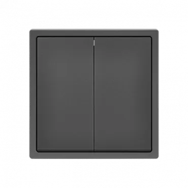 Выключатель двухклавишный звонкового типа LeDron 2G Reset Grey Выключатель двухклавишный звонкового типа LeDron 2G Reset Grey