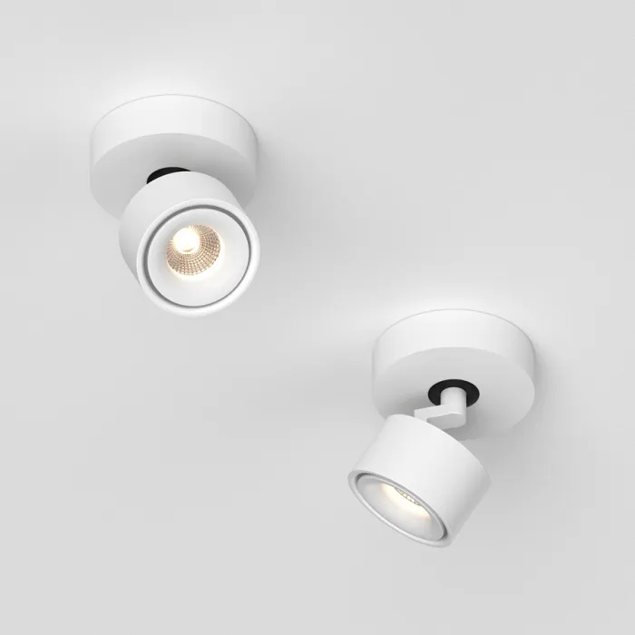 Потолочный поворотный светодиодный светильник LeDron SAGITONY SAGITONY R1 S75 White Dim 4000K от ImperiumLoft