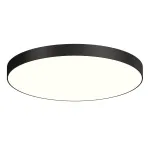 Потолочный светодиодный светильник LeDron DLC73029 DLC73029/60W Black 4000K