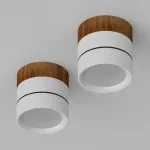 Потолочный светодиодный светильник LeDron BARREL MINI BARREL MINI Wooden Wh