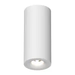 Потолочный светильник под сменную лампу LeDron MJ1027 MJ1027 White 220mm от ImperiumLoft