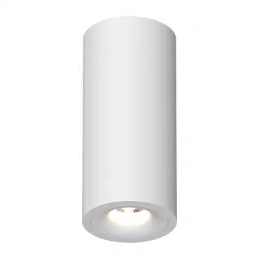Потолочный светильник под сменную лампу LeDron MJ1027 MJ1027 White 220mm