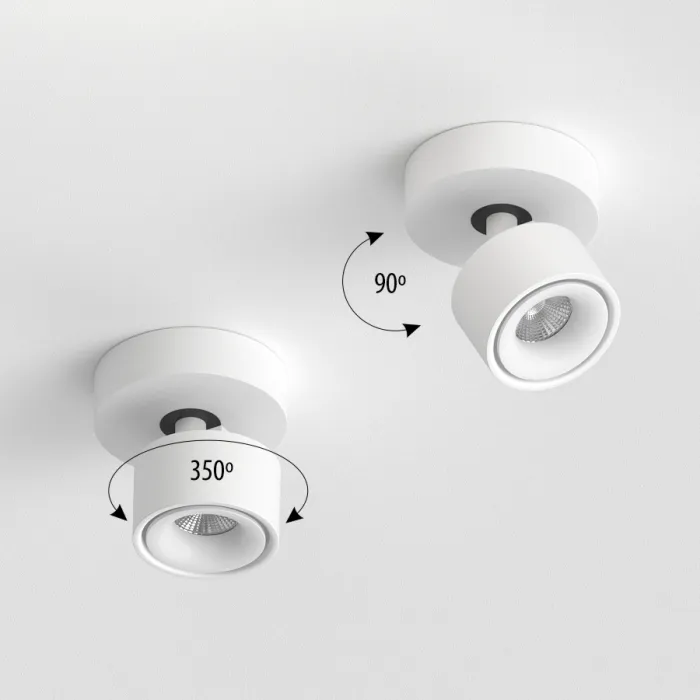 Потолочный поворотный светодиодный светильник LeDron SAGITONY SAGITONY R1 S75 White Dim 4000K от ImperiumLoft