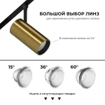 Светодиодный светильник для магнитной системы LeDron Pular GDD20/15 Brass 3000K