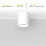 Потолочный светодиодный светильник LeDron RINBOK RINBOK WHITE TRIAC от ImperiumLoft