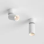 Потолочный поворотный светильник под сменную лампу LeDron MJ-1184 MJ-1184 White