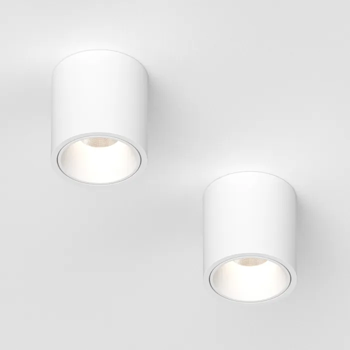 Потолочный светодиодный светильник LeDron RINBOK RINBOK WHITE TRIAC от ImperiumLoft