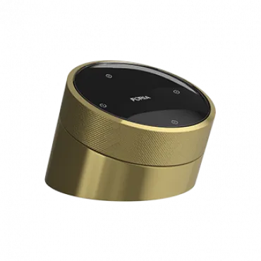 Кнопка на настольном держателе LeDron Table smart knob F00XN04-04-1 Gold Кнопка на настольном держателе LeDron Table smart knob F00XN04-04-1 Gold