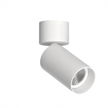 Потолочный поворотный светильник под сменную лампу LeDron MJ-1184 MJ-1184 White