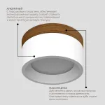 Потолочный светодиодный светильник LeDron SUITABLE LARGE SUITABLE LARGE Wooden Wh