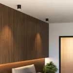 Потолочный светодиодный светильник LeDron RINBOK RINBOK WHITE TRIAC от ImperiumLoft