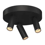 Потолочный поворотный светодиодный светильник LeDron SAGITONY SAGITONY R3 S40 Black