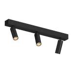 Потолочный поворотный светодиодный светильник LeDron SAGITONY SAGITONY E3 S40 Dim Black