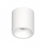 Потолочный светодиодный светильник LeDron RINBOK RINBOK WHITE TRIAC от ImperiumLoft