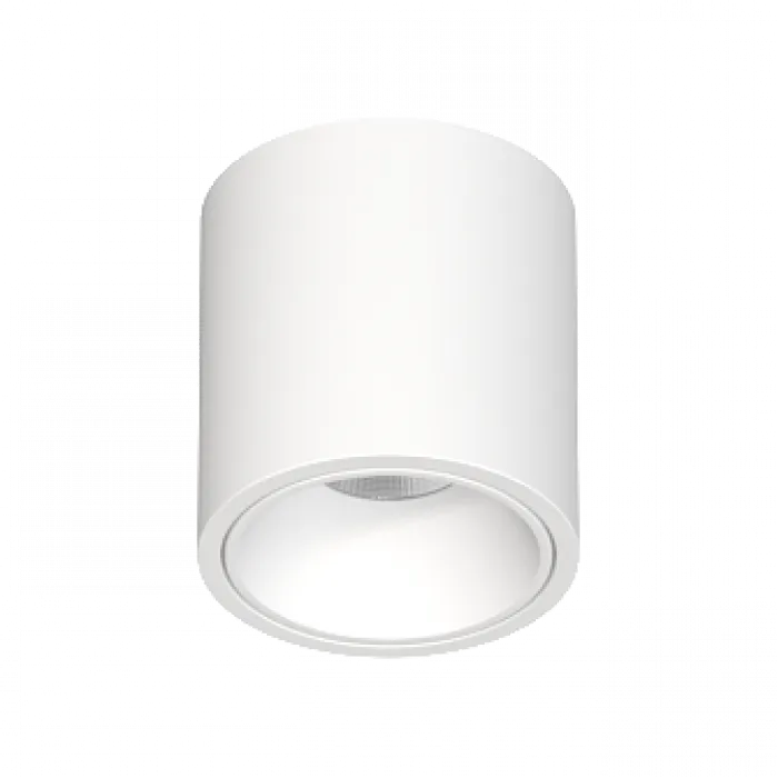 Потолочный светодиодный светильник LeDron RINBOK RINBOK WHITE TRIAC от ImperiumLoft