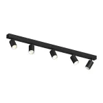Потолочный поворотный светодиодный светильник LeDron SAGITONY SAGITONY E5 S60 Bl-Wh Dim 4000K
