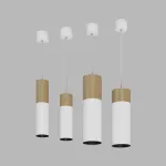 Подвесной светильник LeDron SLC739 PS/PB SLC7392/12W-PB White-Blac