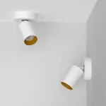 Потолочный поворотный светодиодный светильник LeDron SAGITONY SAGITONY R1 S60 Dim W-Gl 4000K от ImperiumLoft