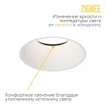 Встраиваемый светодиодный светильник под шпаклевку LeDron FQS10055-07D