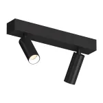 Потолочный поворотный светодиодный светильник LeDron SAGITONY SAGITONY E2 S40 Black-White 4000K