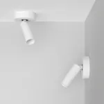 Потолочный поворотный светодиодный светильник LeDron SAGITONY SAGITONY R1 S40 Dim White