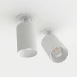 Встраиваемый потолочный светильник LeDron SAGITONY R BASIC S60 W TRIAC